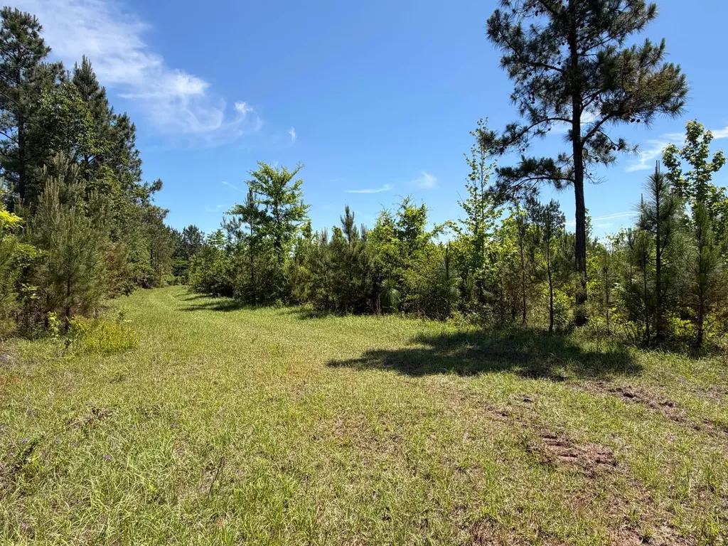0 County Road 38 Autaugaville AL 36003