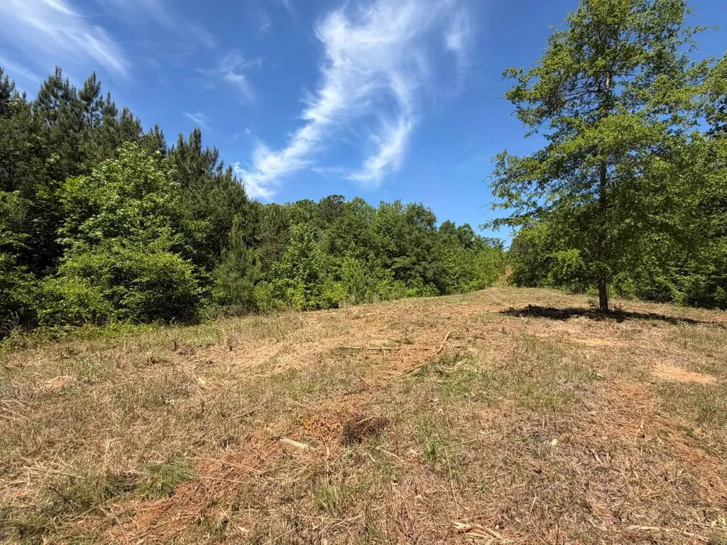 0 County Road 38 Autaugaville AL 36003