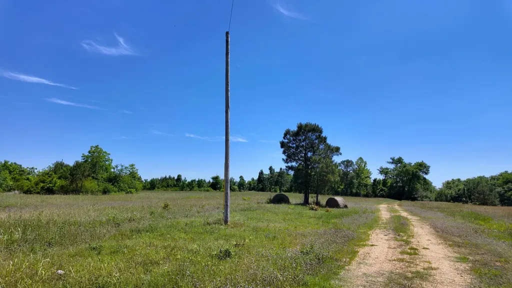 0 County Road 38 Autaugaville AL 36003