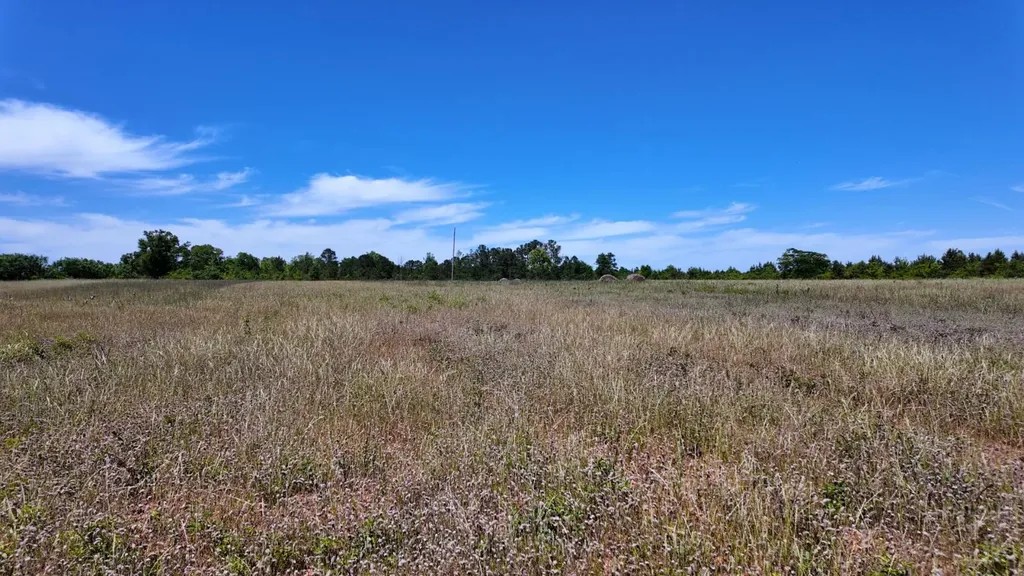 0 County Road 38 Autaugaville AL 36003