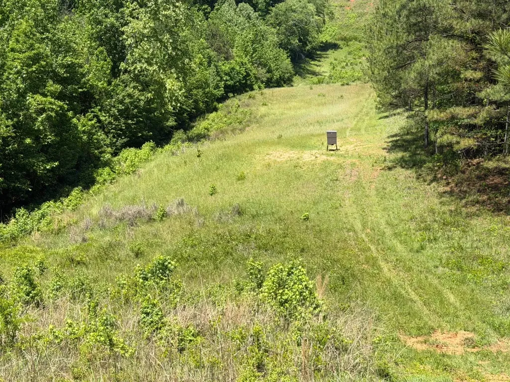 0 County Road 38 Autaugaville AL 36003