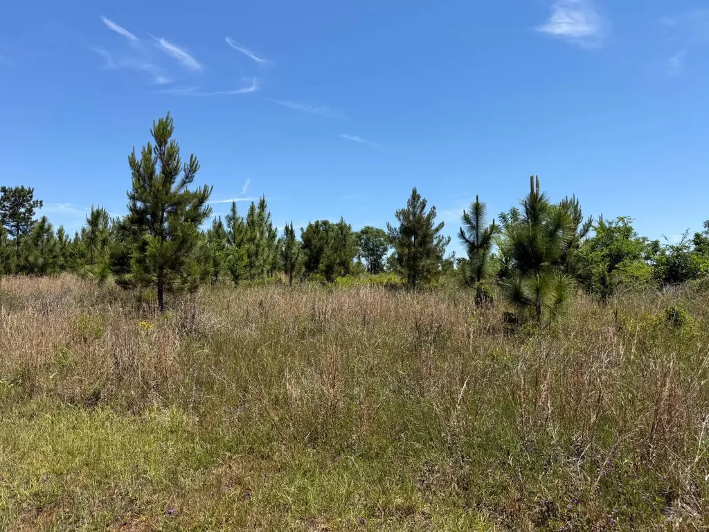 0 County Road 38 Autaugaville AL 36003