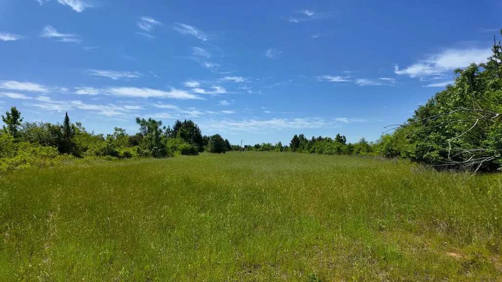 0 County Road 38 Autaugaville AL 36003