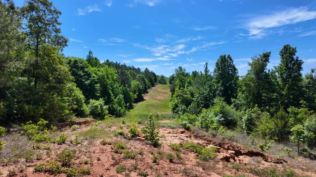 0 County Road 38 Autaugaville AL 36003