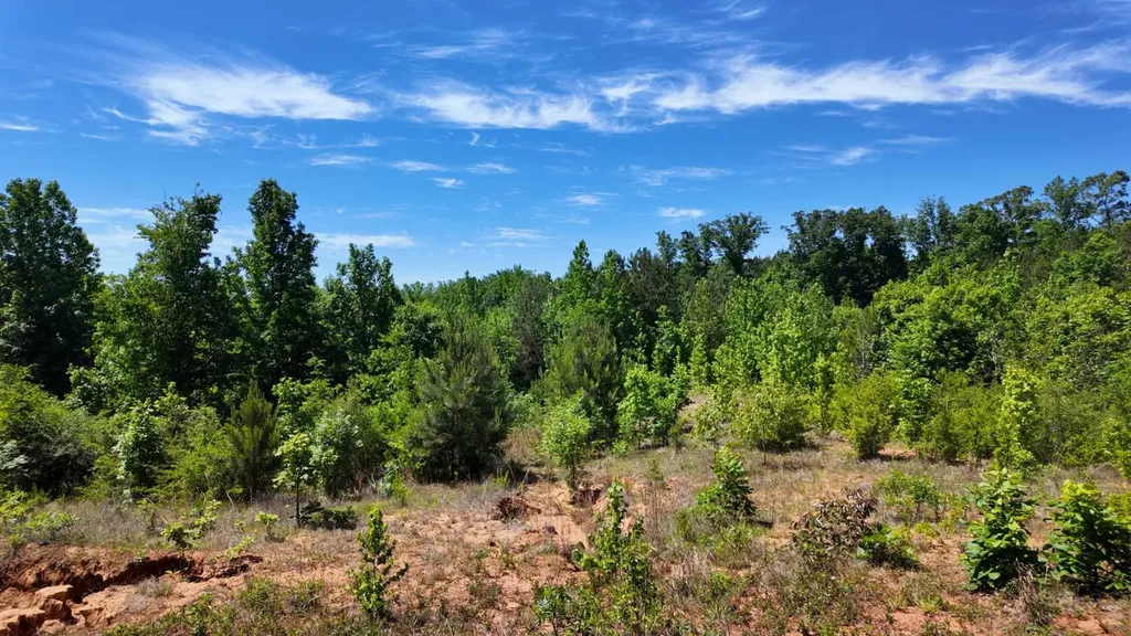 0 County Road 38 Autaugaville AL 36003