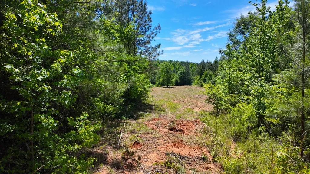 0 County Road 38 Autaugaville AL 36003