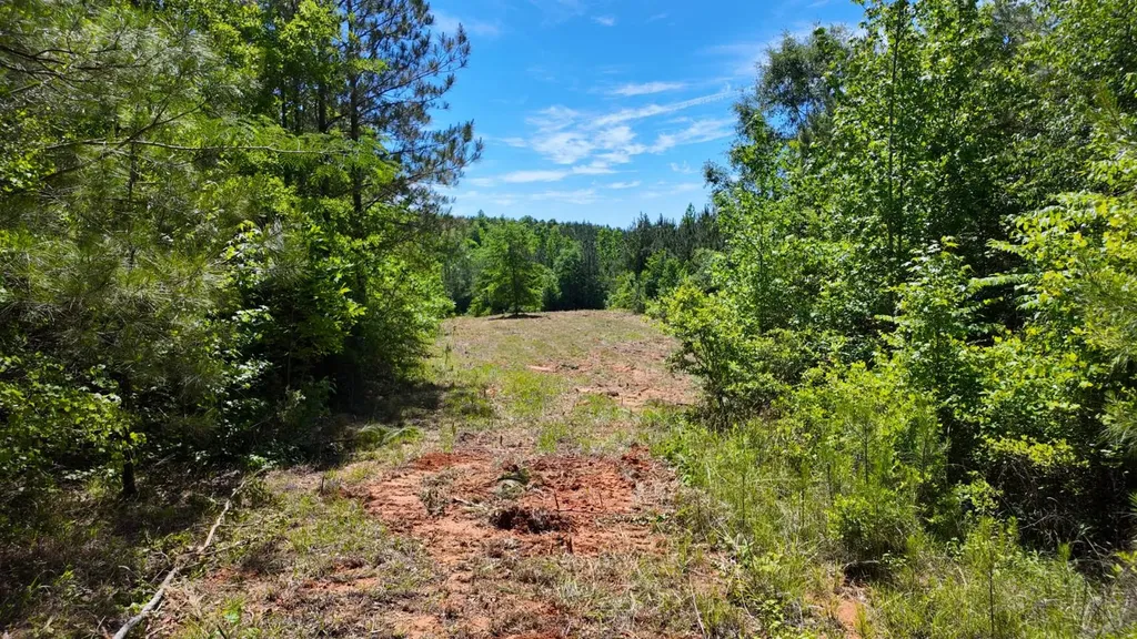 0 County Road 38 Autaugaville AL 36003