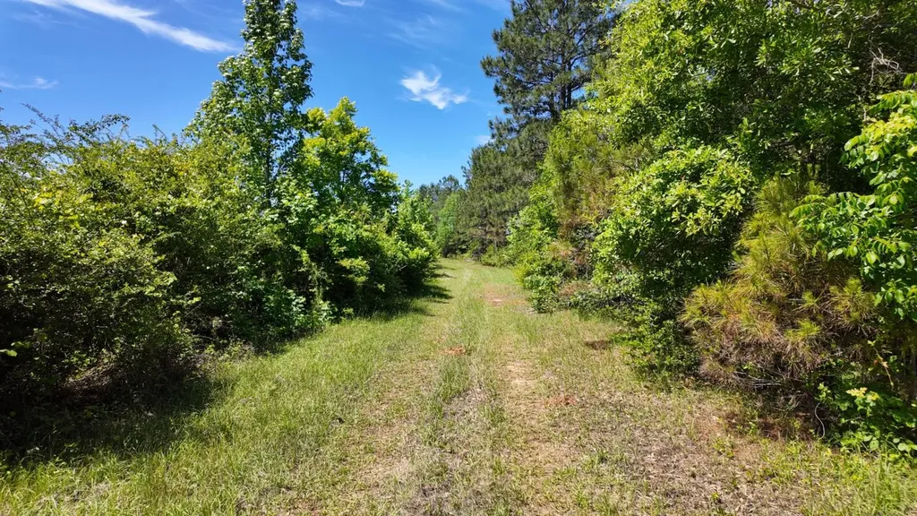 0 County Road 38 Autaugaville AL 36003