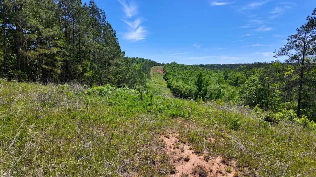 0 County Road 38 Autaugaville AL 36003