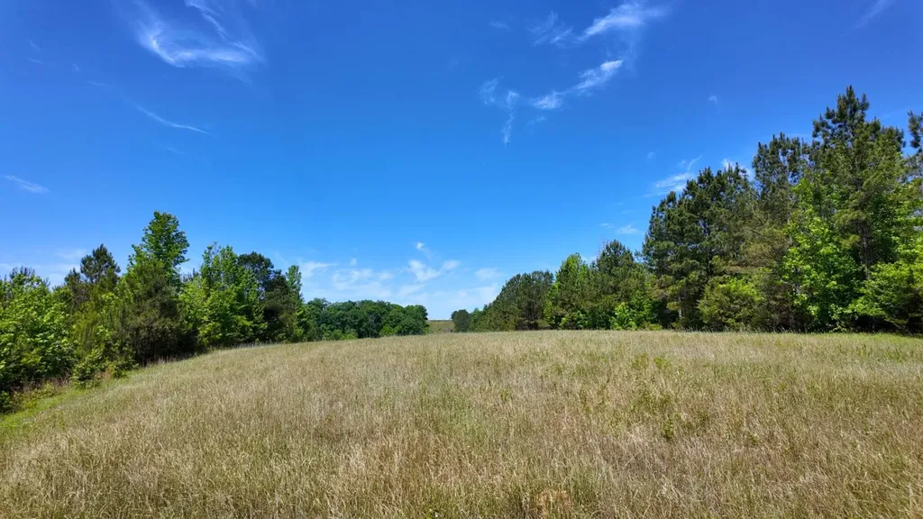 0 County Road 38 Autaugaville AL 36003