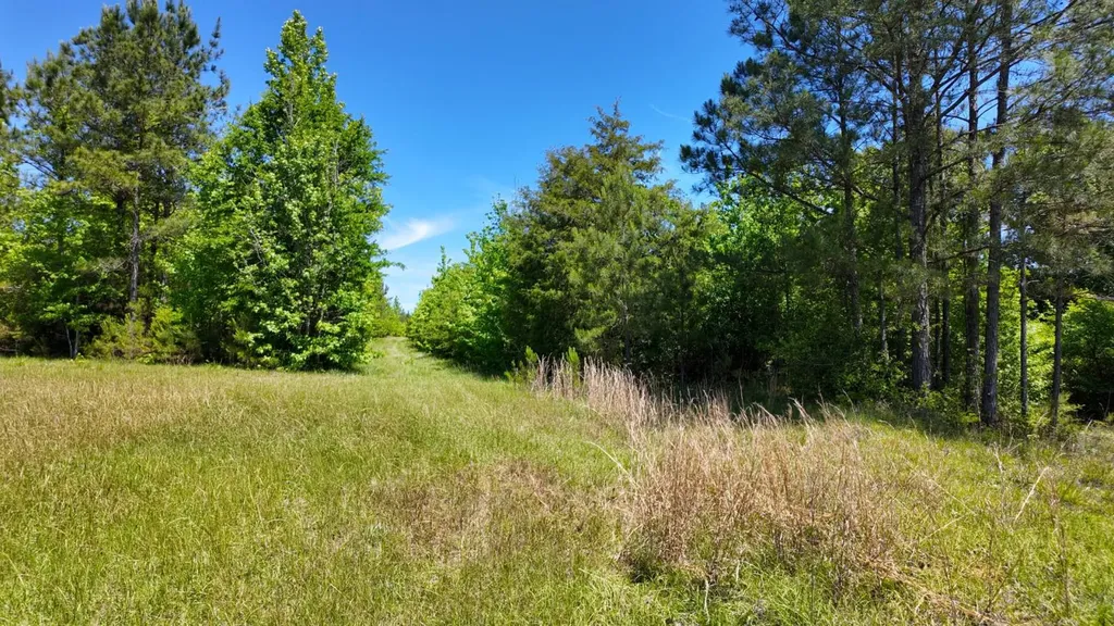 0 County Road 38 Autaugaville AL 36003