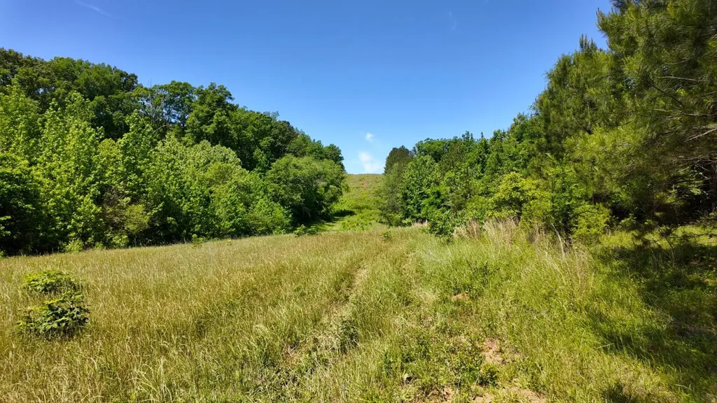 0 County Road 38 Autaugaville AL 36003