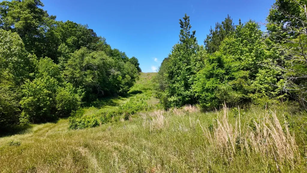 0 County Road 38 Autaugaville AL 36003