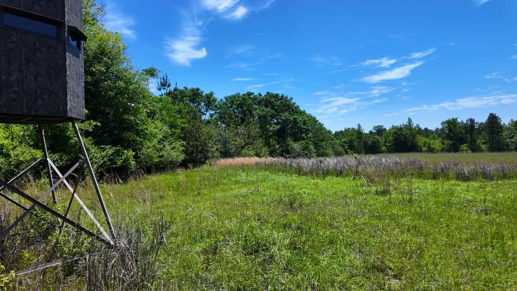0 County Road 38 Autaugaville AL 36003
