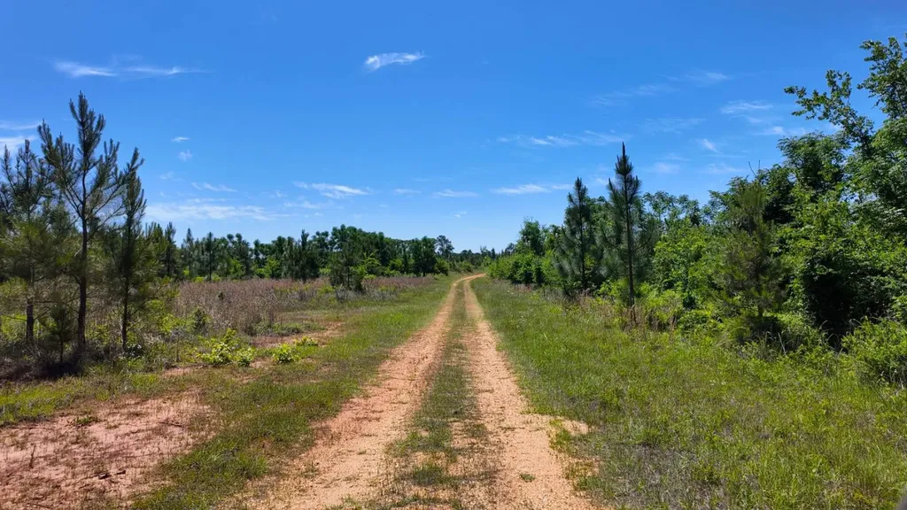 0 County Road 38 Autaugaville AL 36003