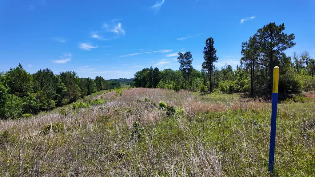 0 County Road 38 Autaugaville AL 36003