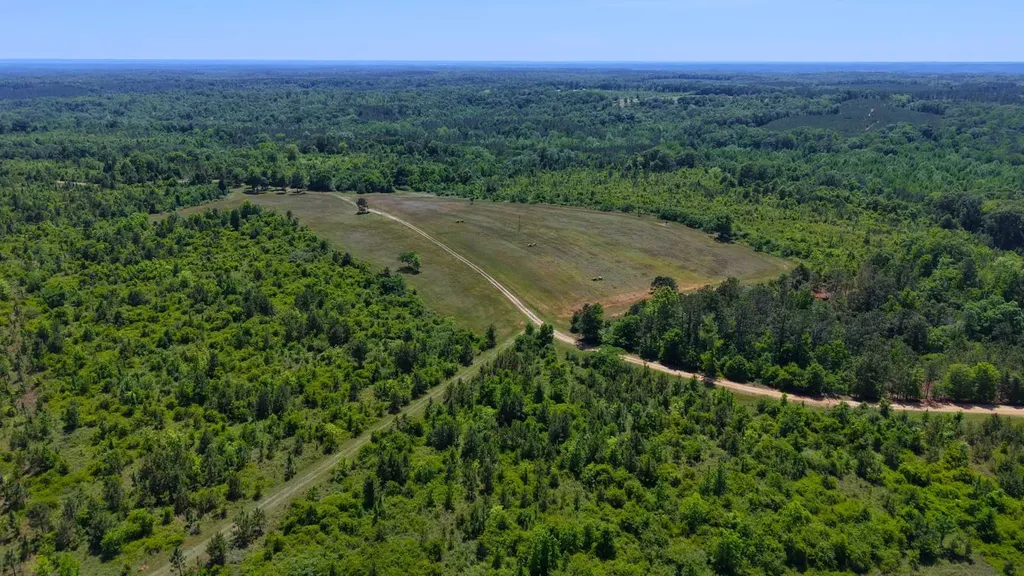 0 County Road 38 Autaugaville AL 36003