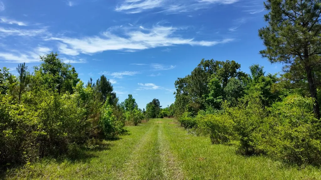 0 County Road 38 Autaugaville AL 36003