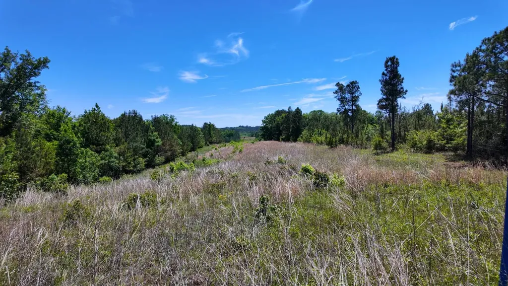 0 County Road 38 Autaugaville AL 36003
