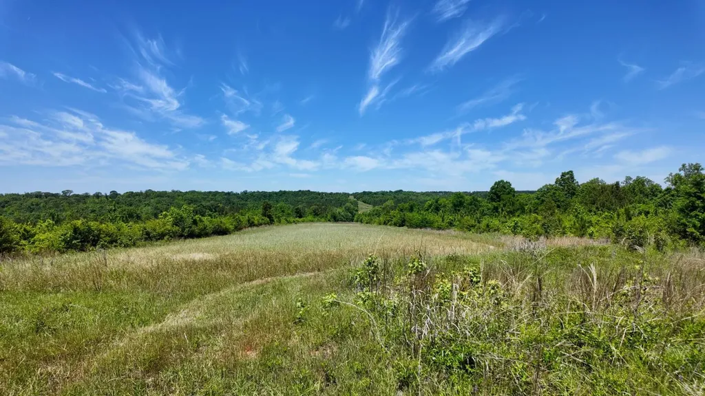 0 County Road 38 Autaugaville AL 36003