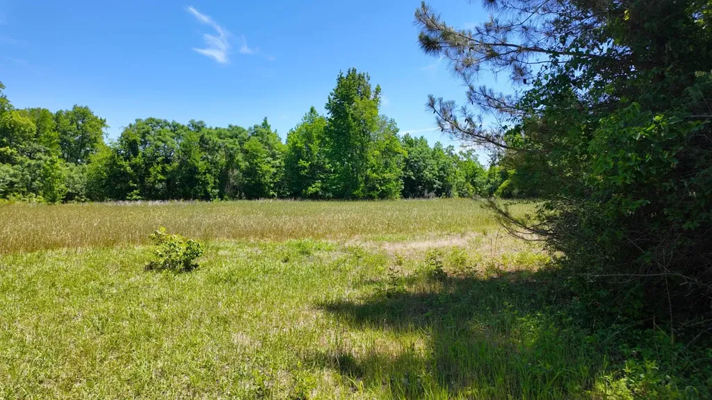 0 County Road 38 Autaugaville AL 36003