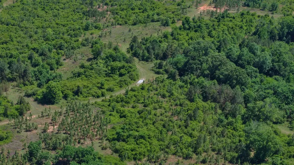 0 County Road 38 Autaugaville AL 36003