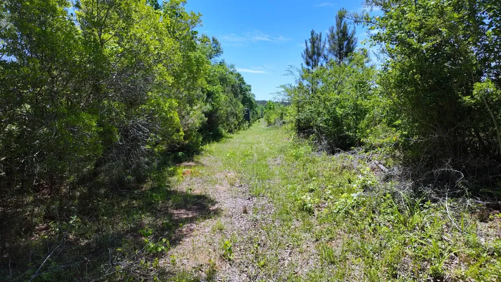 0 County Road 38 Autaugaville AL 36003