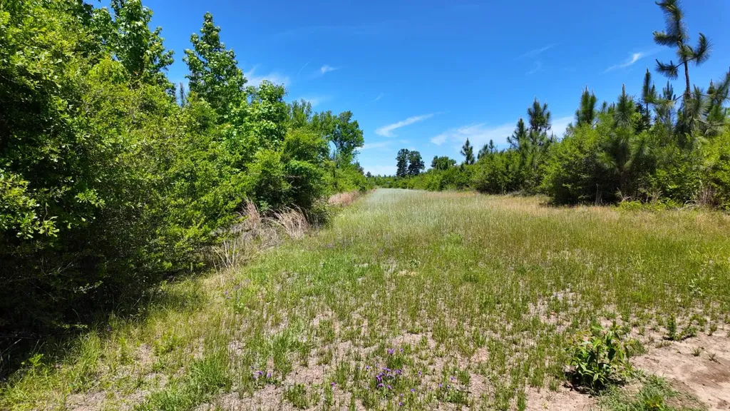 0 County Road 38 Autaugaville AL 36003