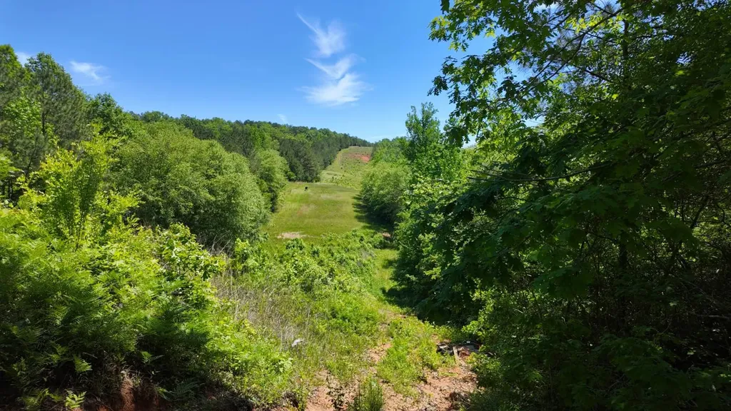 0 County Road 38 Autaugaville AL 36003