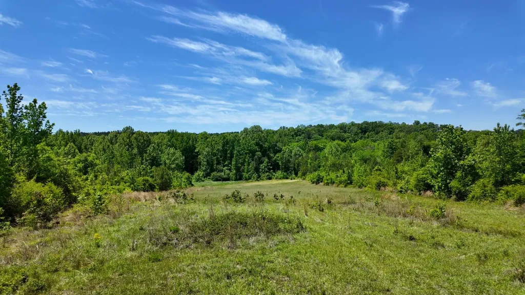0 County Road 38 Autaugaville AL 36003