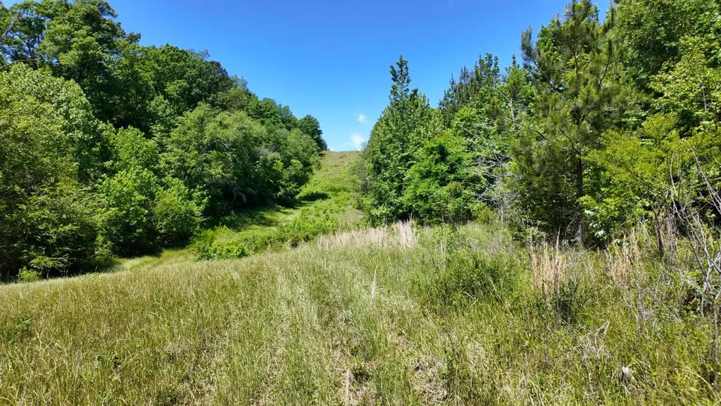 0 County Road 38 Autaugaville AL 36003