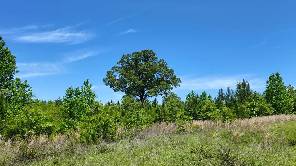 0 County Road 38 Autaugaville AL 36003