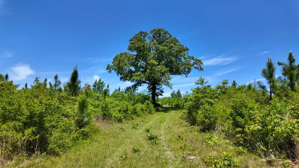 0 County Road 38 Autaugaville AL 36003