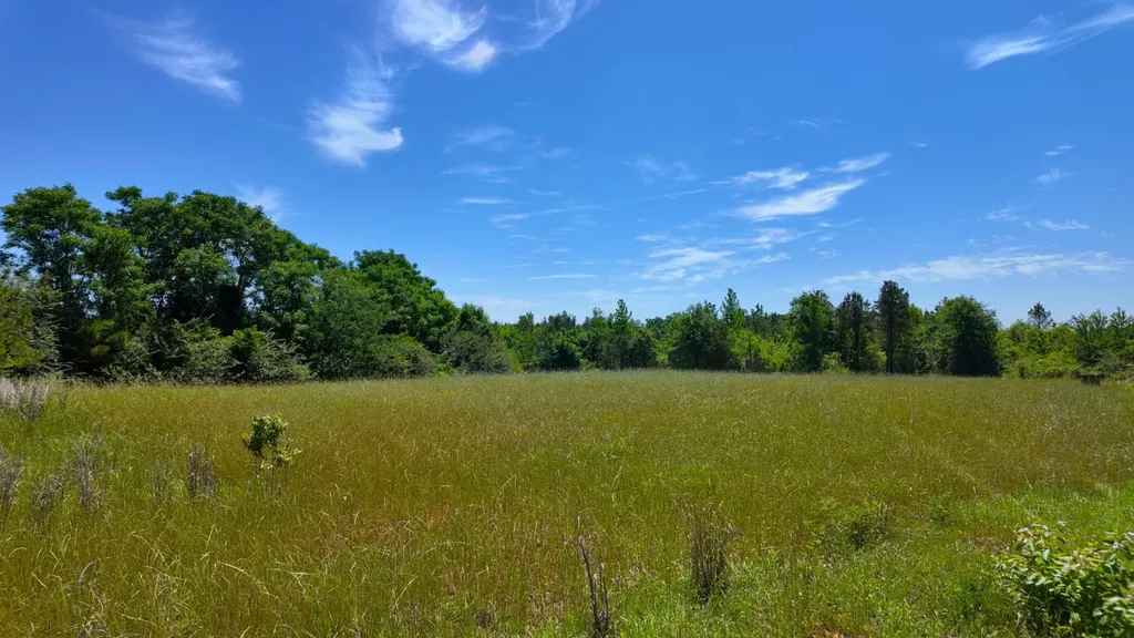 0 County Road 38 Autaugaville AL 36003