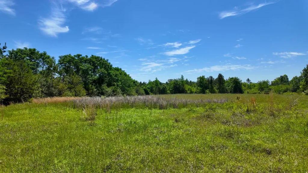 0 County Road 38 Autaugaville AL 36003