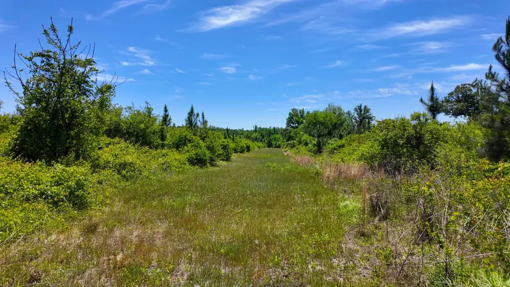 0 County Road 38 Autaugaville AL 36003