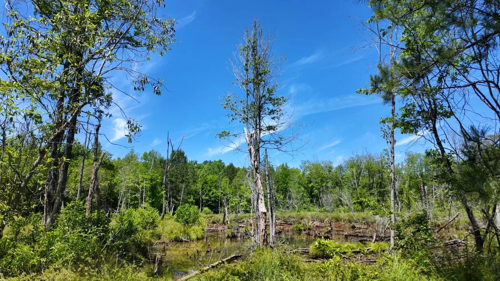 0 County Road 38 Autaugaville AL 36003