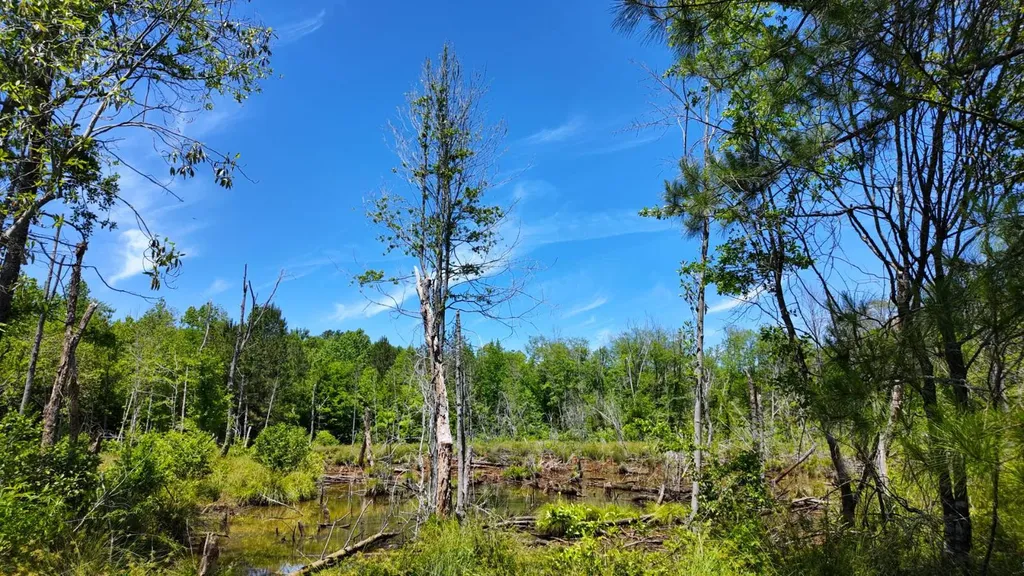 0 County Road 38 Autaugaville AL 36003