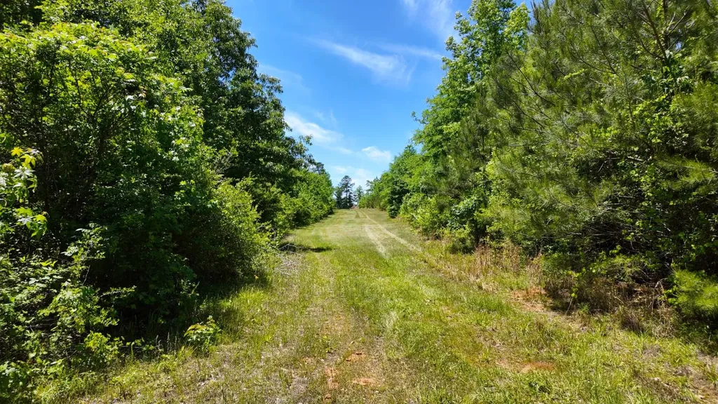 0 County Road 38 Autaugaville AL 36003