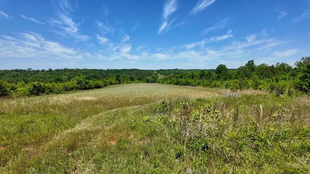 0 County Road 38 Autaugaville AL 36003