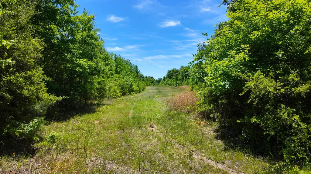 0 County Road 38 Autaugaville AL 36003