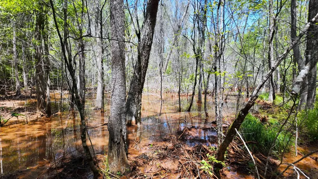 0 County Road 38 Autaugaville AL 36003