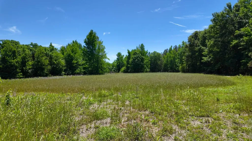 0 County Road 38 Autaugaville AL 36003
