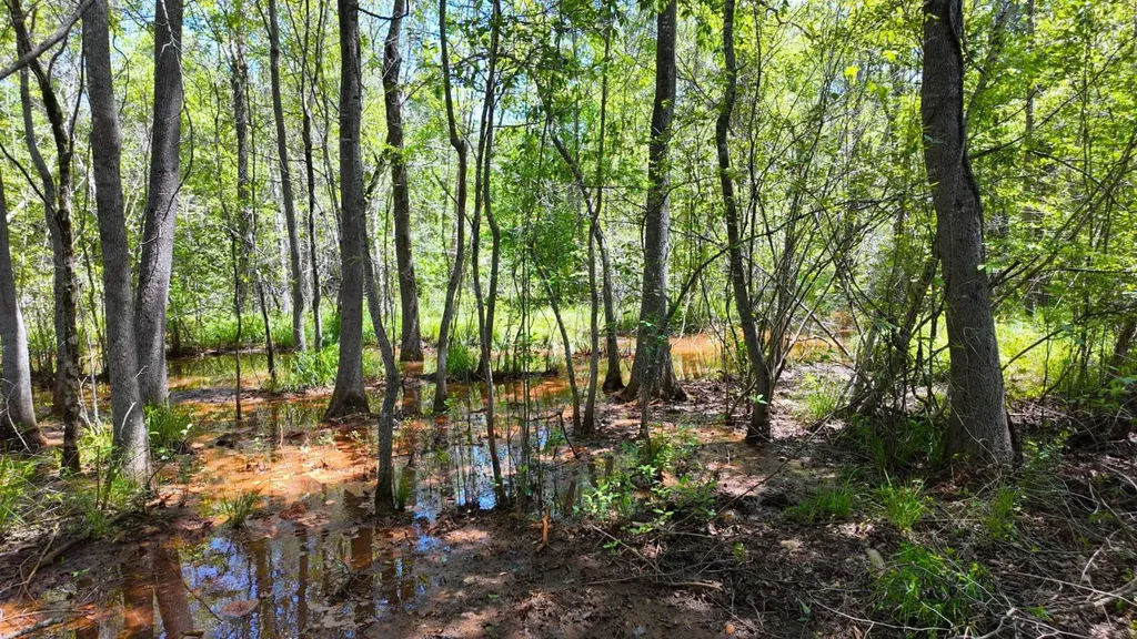 0 County Road 38 Autaugaville AL 36003