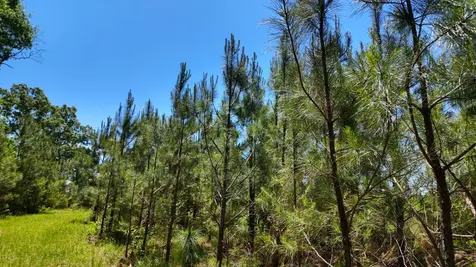0 County Road 38 Autaugaville AL 36003