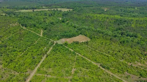 0 County Road 38 Autaugaville AL 36003
