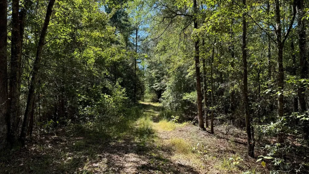 0 N Scottsville Road West Blocton AL 35184