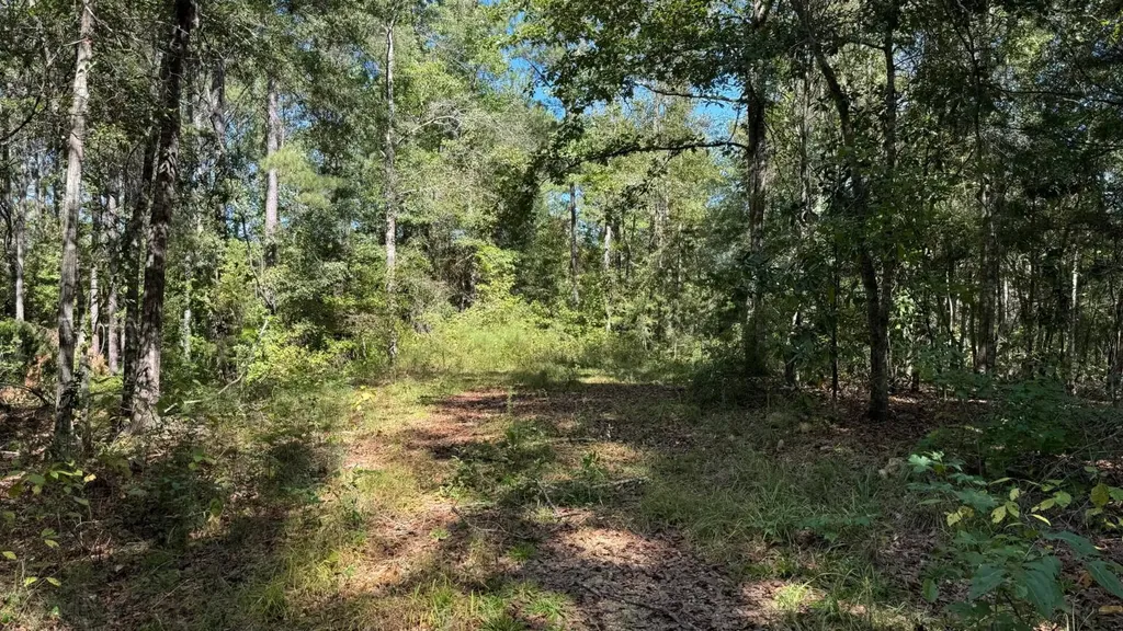 0 N Scottsville Road West Blocton AL 35184