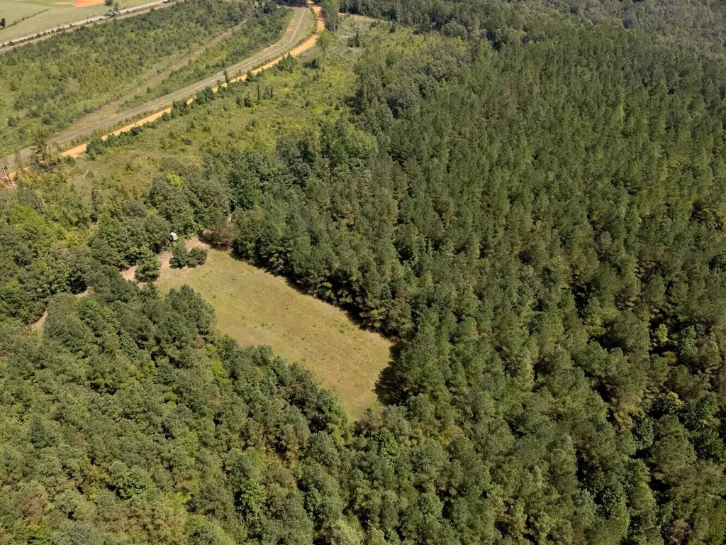 221 Blue Bird Road Sulligent AL 35586