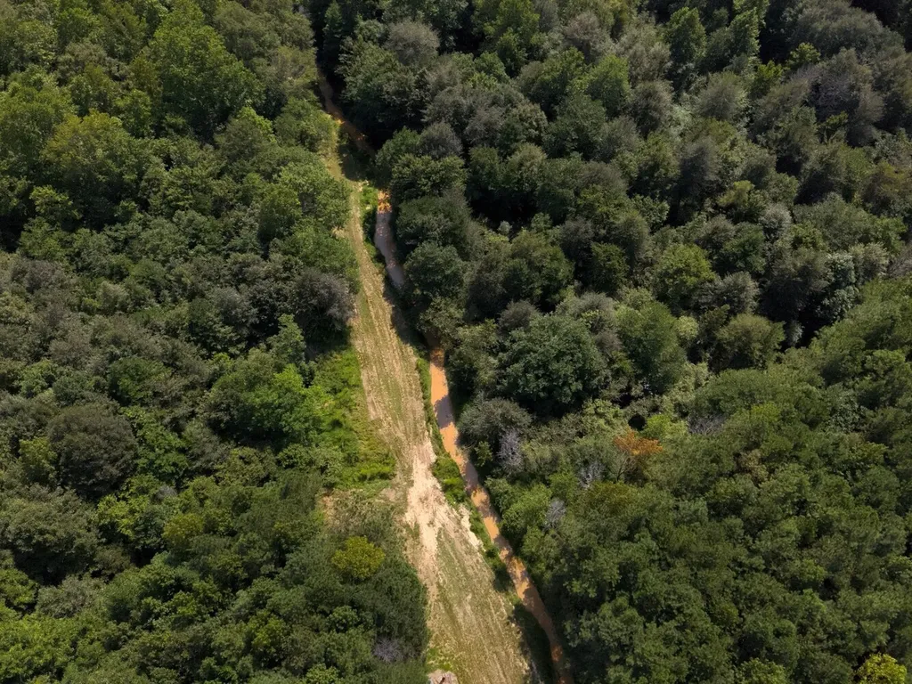 221 Blue Bird Road Sulligent AL 35586